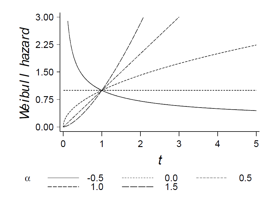 Figure4: Weibull model 风险函数